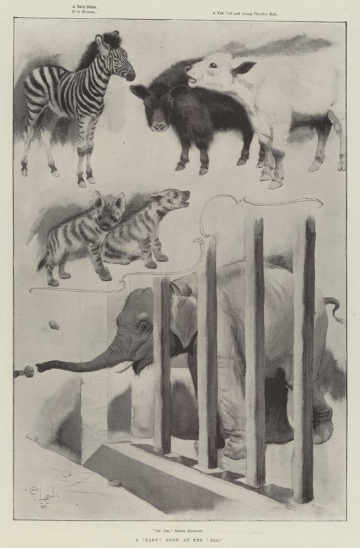 Een Babyshow in de Dierentuin door Cecil Charles Windsor Aldin