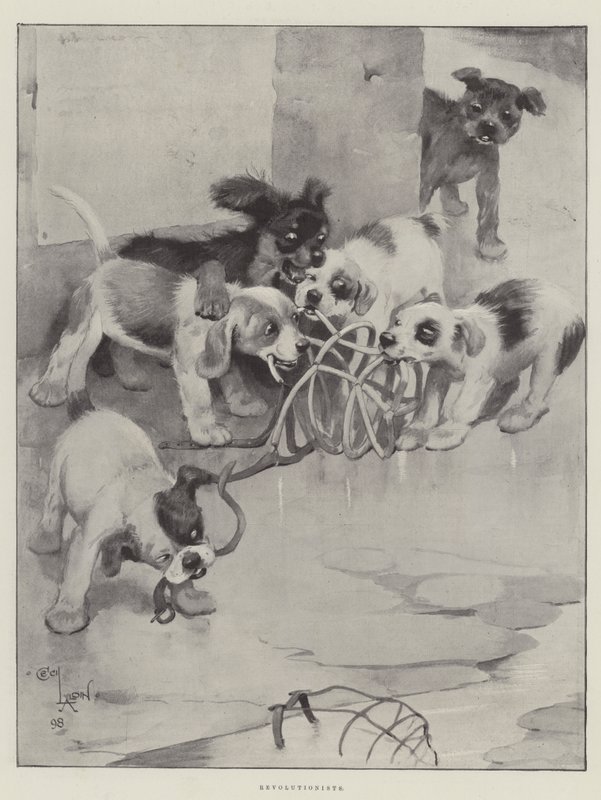 Revolutionairen door Cecil Charles Windsor Aldin