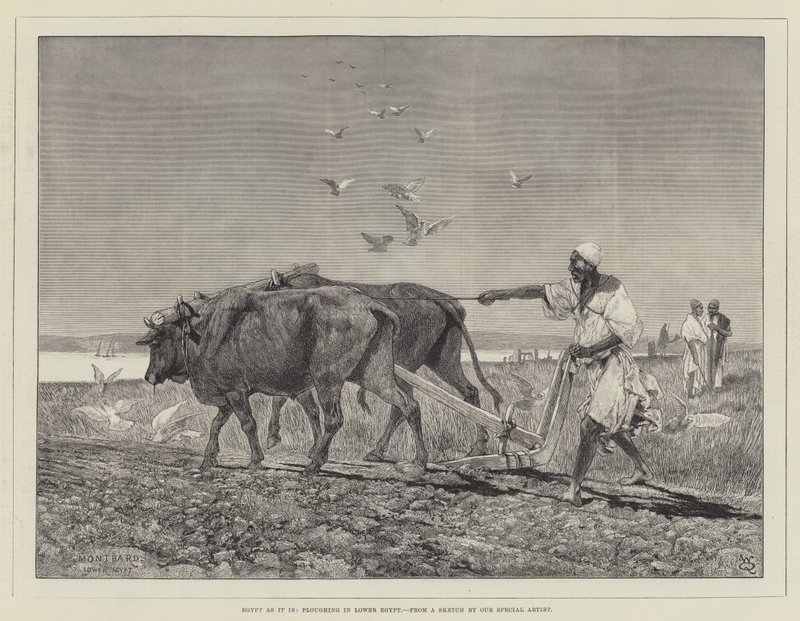Egypte zoals het is, ploegen in Beneden-Egypte door Charles Auguste Loye