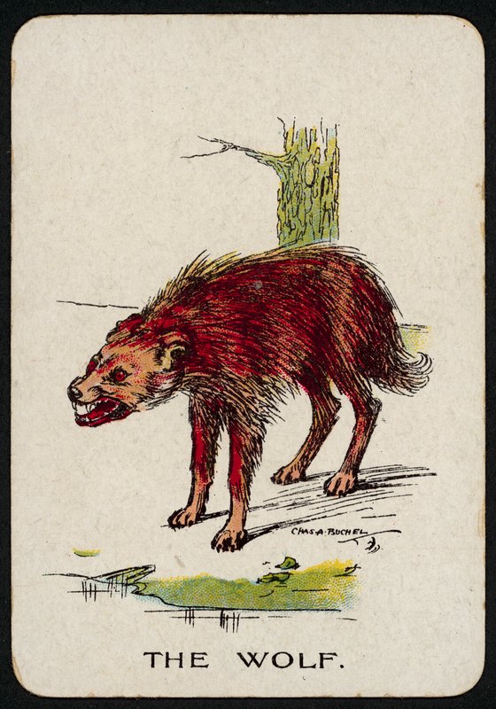 De wolf door Charles A. Buchel