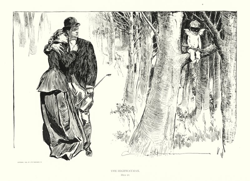 De struikrover door Charles Dana Gibson
