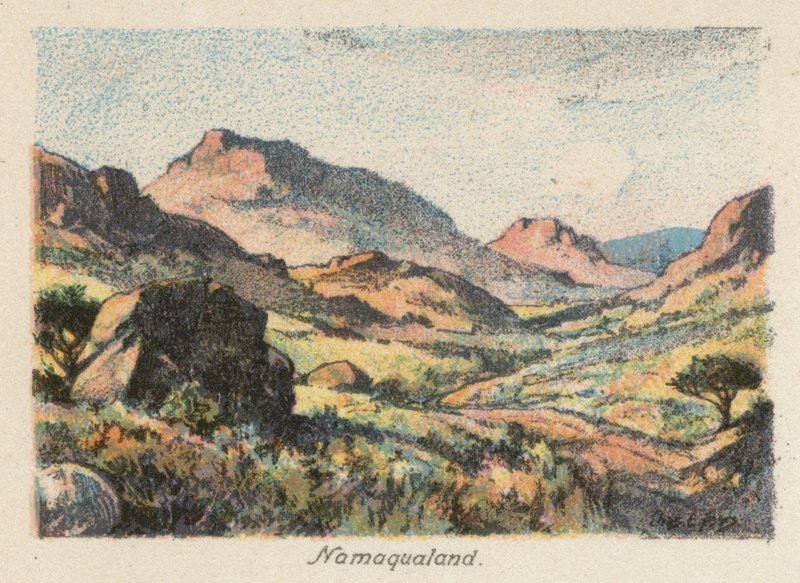 Zuid-Afrika: Namaqualand (kleur litho) door Charles Ernest Peers