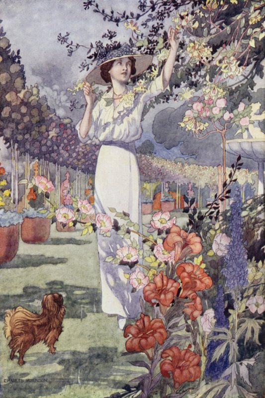 Onze Sentimentele Tuin: De Hemicycle door Charles Robinson
