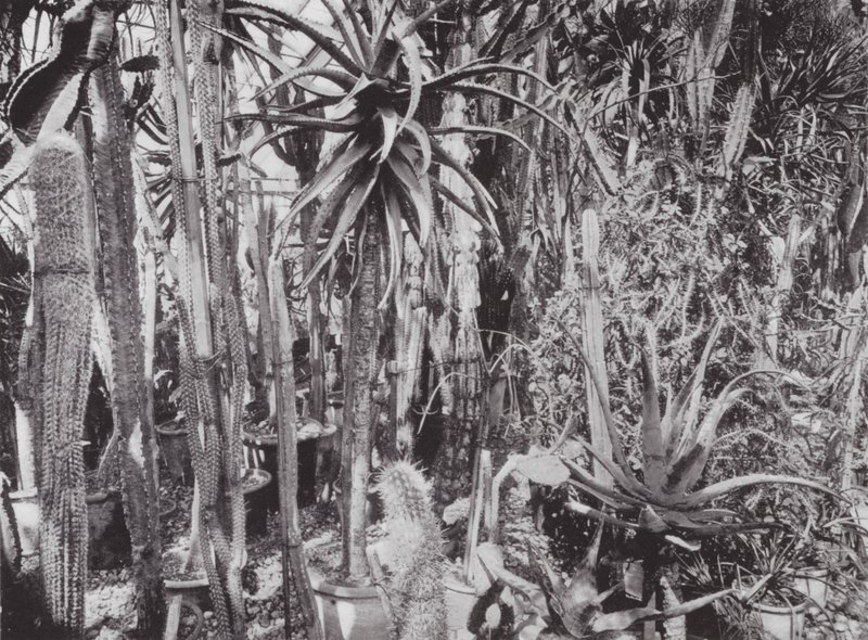 Kew Gardens, ca. 1900 door E. J. Wallis