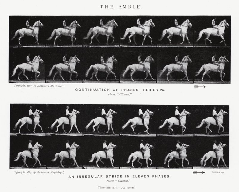 De Draf door Eadweard Muybridge