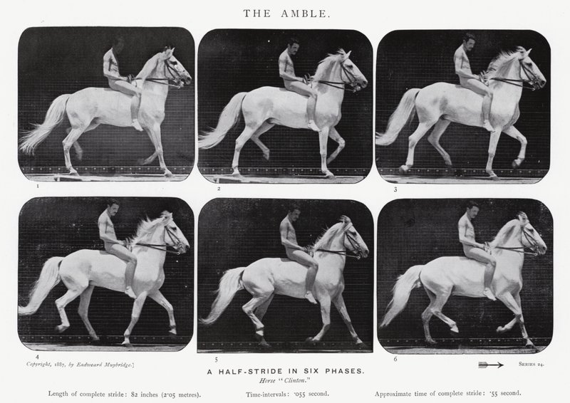 De draf door Eadweard Muybridge