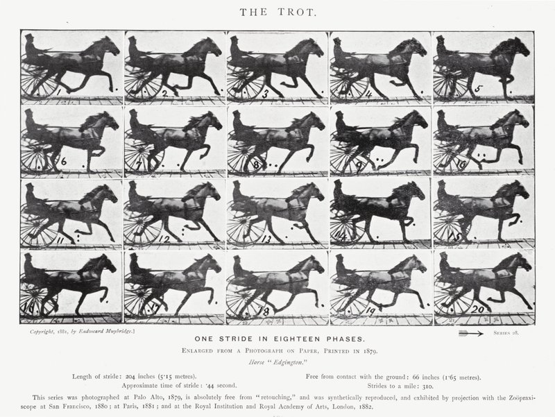 De Trot door Eadweard Muybridge