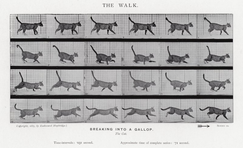 De wandeling door Eadweard Muybridge