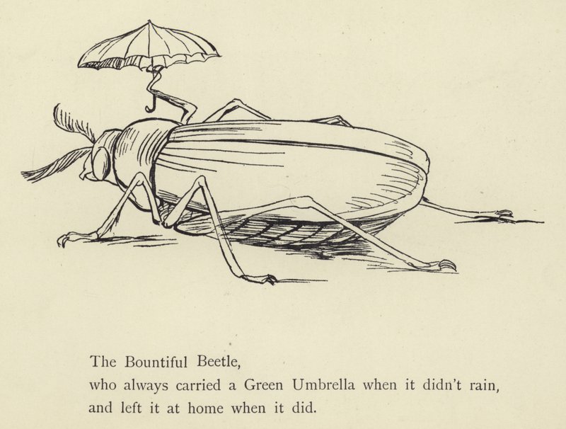 De Gulle Kever door Edward Lear