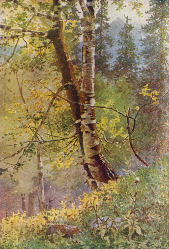 In het Bos door Edward Mary Joseph Molyneux