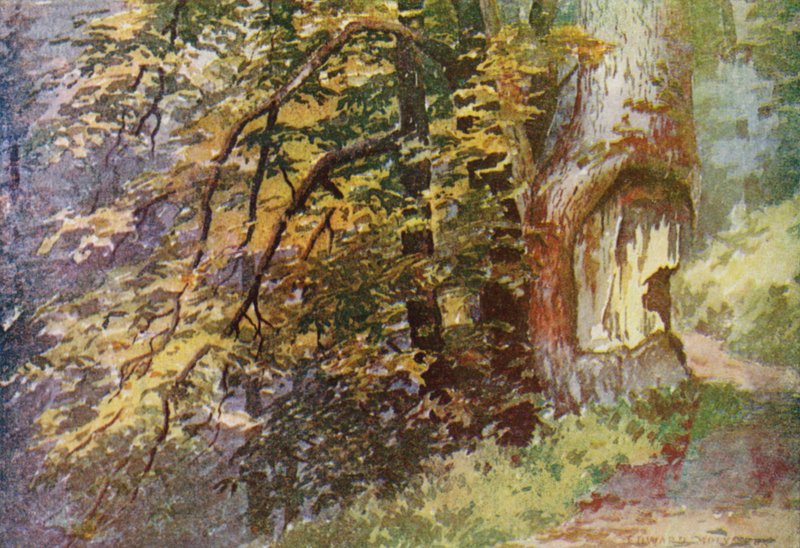Op de Cirkelweg, Gulmarg door Edward Mary Joseph Molyneux