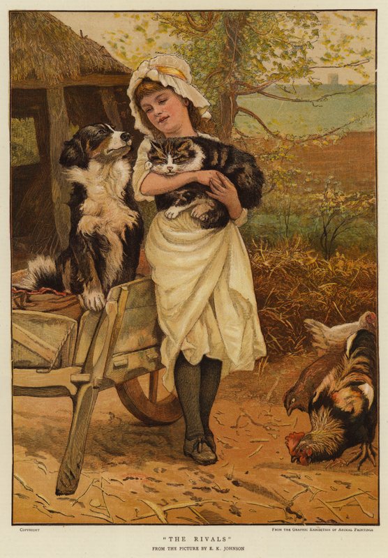 De rivalen door Edward Killingworth Johnson