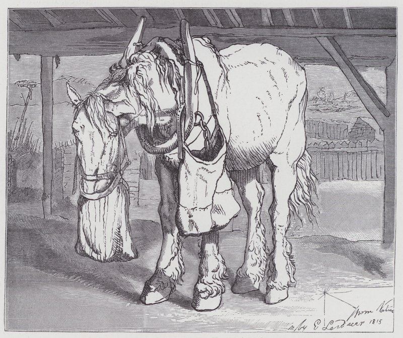 Een Trekpaard door Edwin (after) Landseer