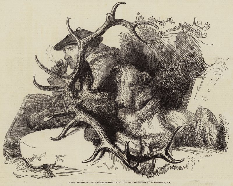 Hertenjacht in de Hooglanden, het Lichaam observeren door Edwin Landseer