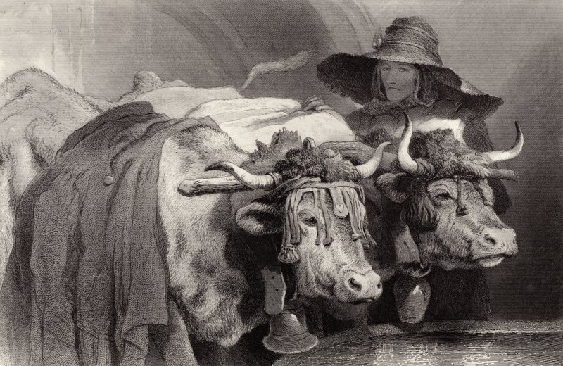 Ossen bij de Tank, Genève, Zwitserland door Edwin Landseer