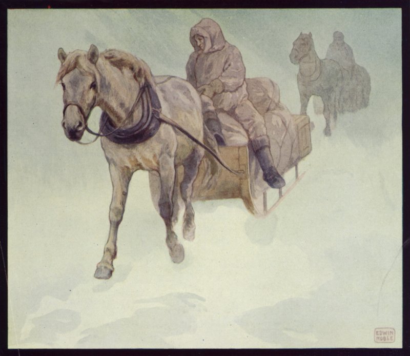 Siberische pony