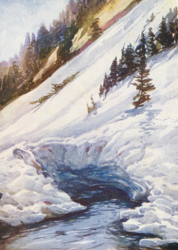 Zwitserland door Effie Jardine