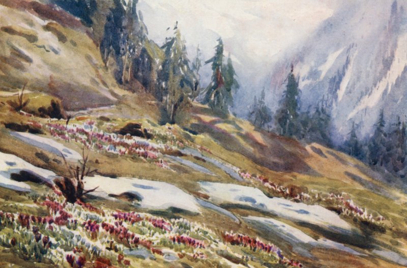 Zwitserland door Effie Jardine