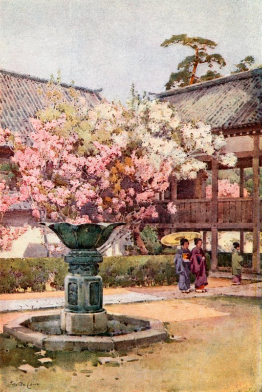 Kersenbloesem, Chion-in Tempel door Ella Du Cane