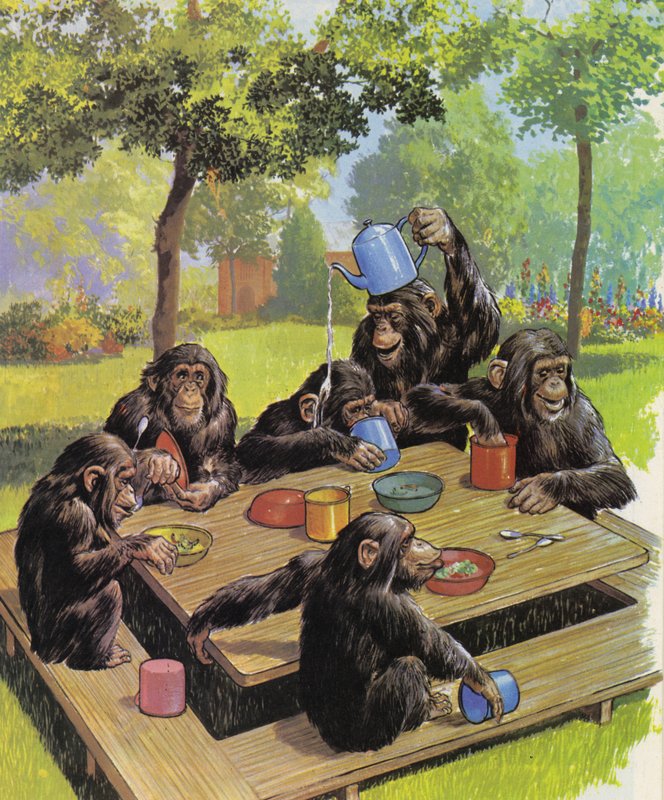 Theekransje van chimpansees in de dierentuin door English School