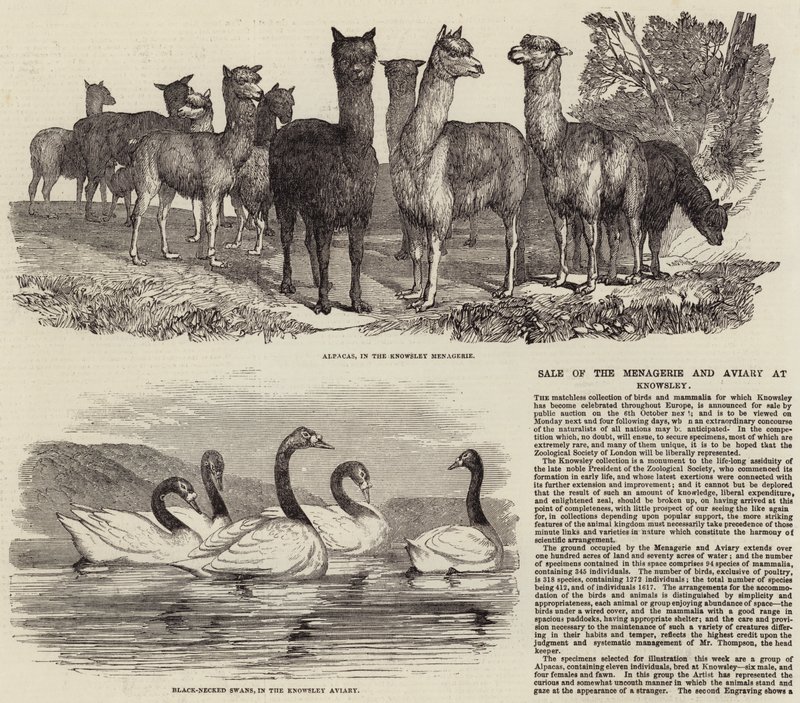 Verkoop van de Menagerie en Volière in Knowsley door English School