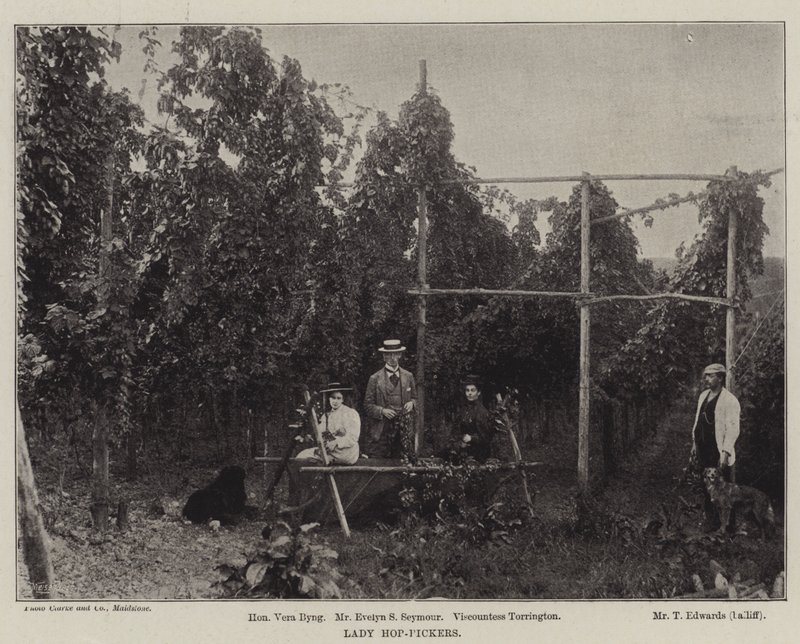 Lady Hop-Pickers door English Photographer