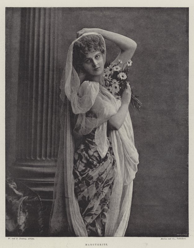 Marguerite door English Photographer