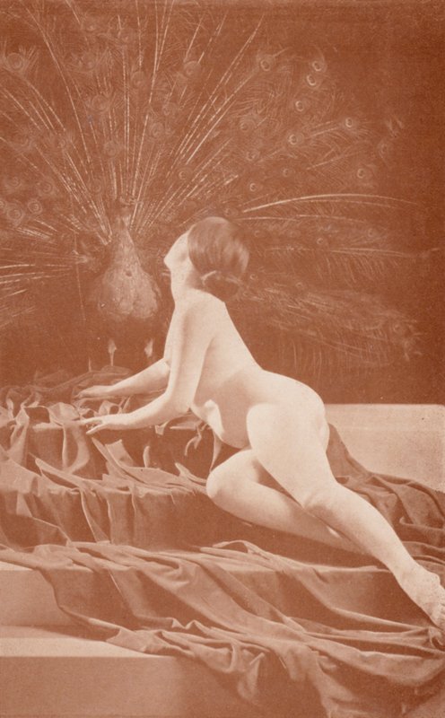 Nudistische kunst: Afgunst door English Photographer