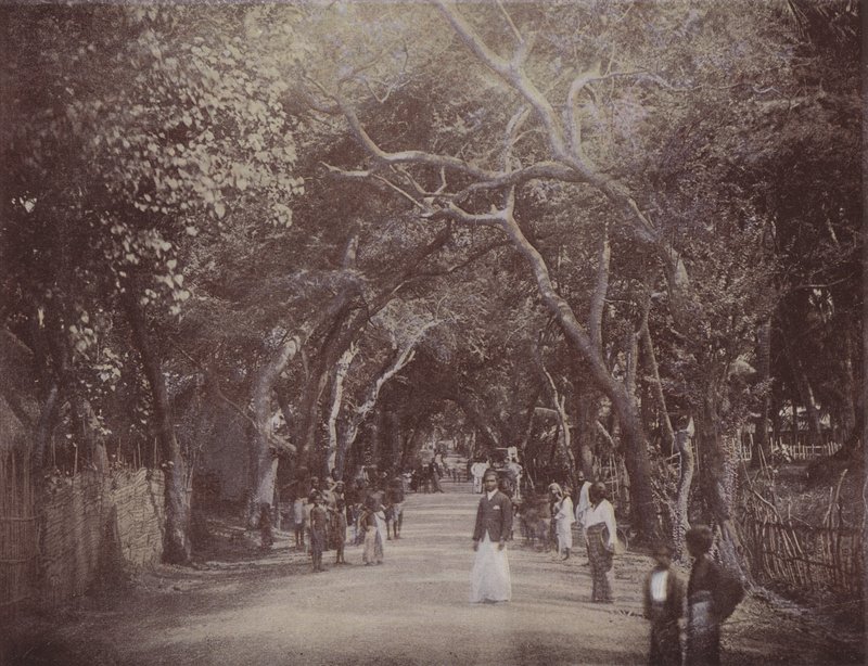 Skinners Road, Colombo door English Photographer