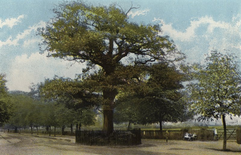 De Midland Eik, Leamington door English Photographer