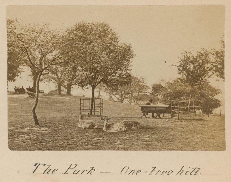 Het Park - One Tree Hill, Greenwich door English Photographer