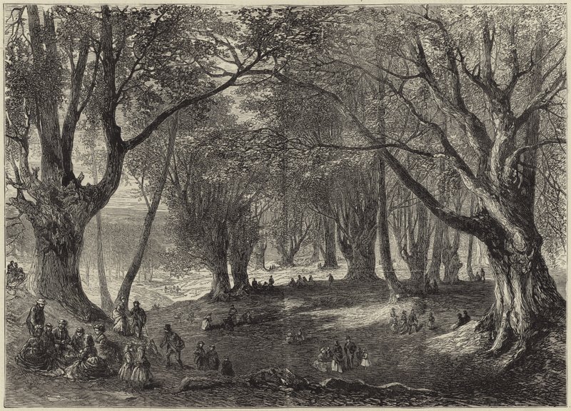 Een uitzicht in Epping Forest door English School