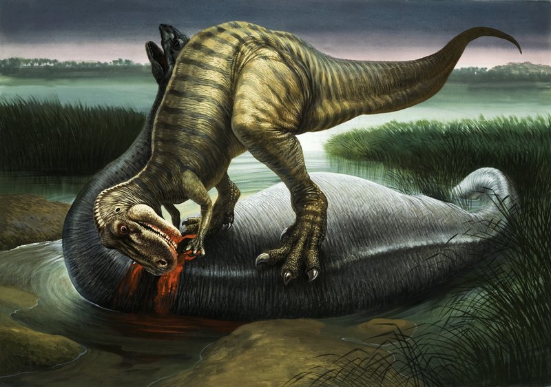 Allosaurus eet een Apatosaurus door English School