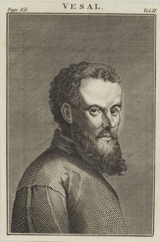 Andreas Vesalius door English School
