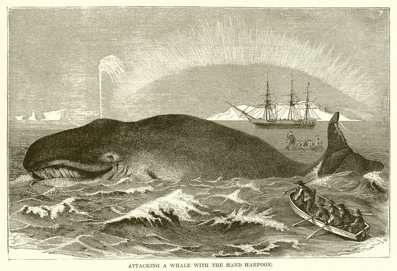 Aanval op een Walvis met de Handharpoen door English School