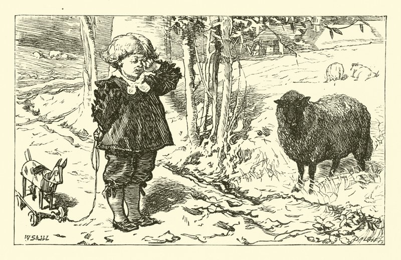 Baa, Baa, Zwart Schaap door English School
