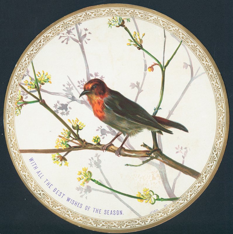 Vogel, Kerstkaart door English School