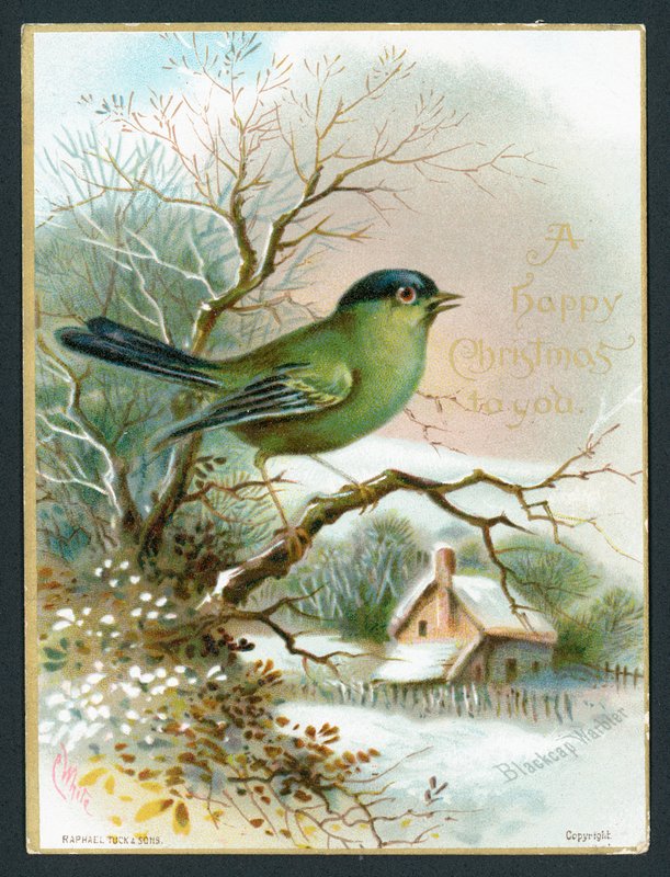 Zwartkopzanger, Kerstkaart door English School