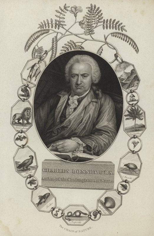 Charles Bonnet door English School