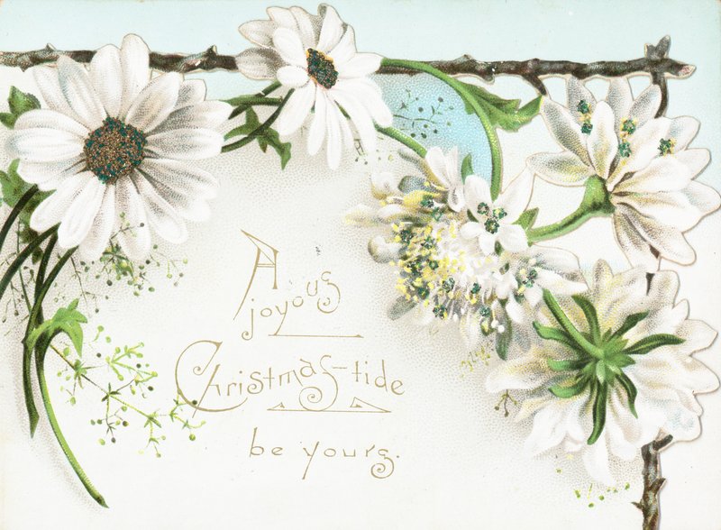 Kerstbloemen, Kerstkaart door English School