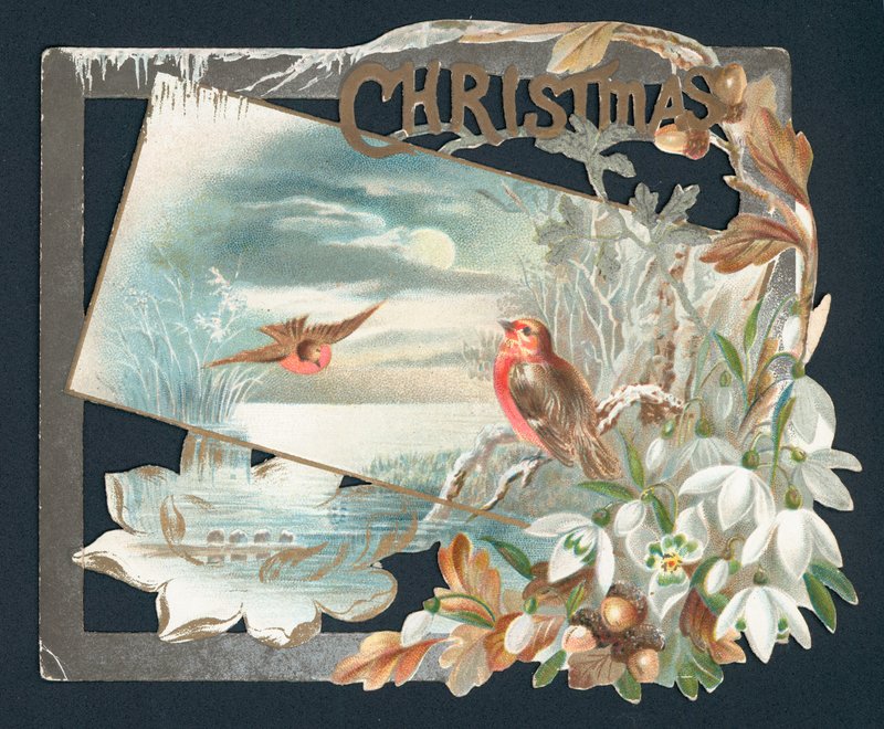 Kerstkaart met twee roodborstjes door English School