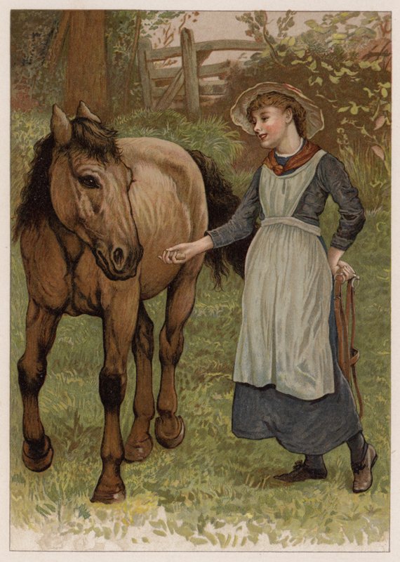 Slimme Dobbin door English School
