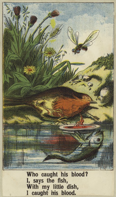 Cock Robin door English School