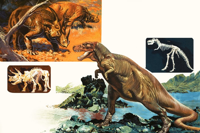 Dinosaurussen en Skeletten. Stegosaurus en Tyrannosaurus door English School