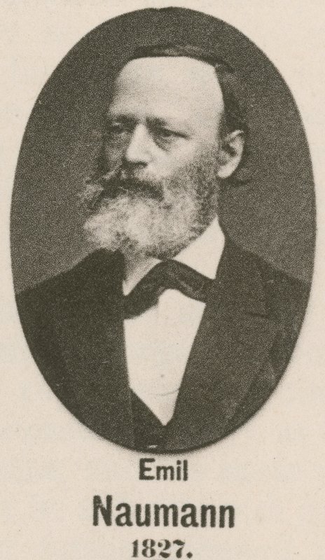 Emil Naumann door English School