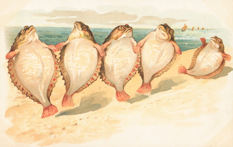 Vijf platvissen die op een strand dansen door English School