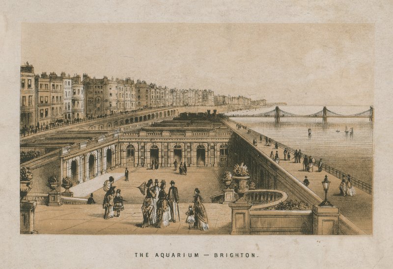 Algemeen uitzicht op het Aquarium in Brighton door English School