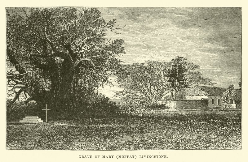 Graf van Mary (Moffat) Livingstone door English School
