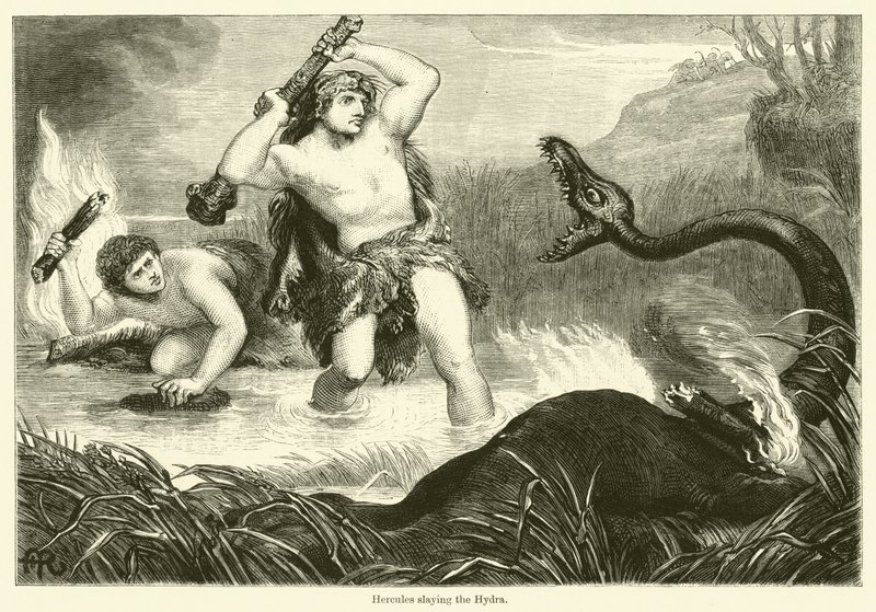 Hercules doodt de Hydra (gravure) door English School