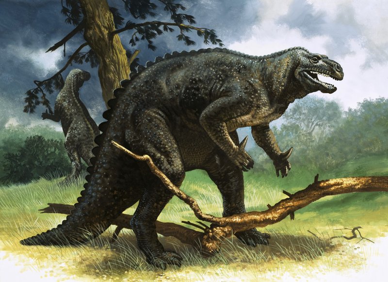 Iguanodon door English School